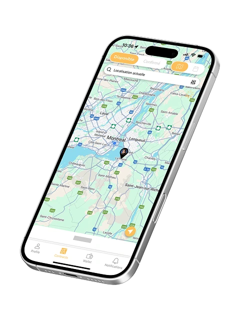 Aperçu mobile